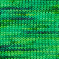 Symfonie Hand Dyed Yarns Yarn Jungle Secrets Symfonie Hand-Dyed Yarns | Terra Variegated | 4-Ply