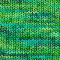 Symfonie Hand Dyed Yarns Yarn Jungle Secrets Symfonie Hand-Dyed Yarns | Viva Variegated | DK