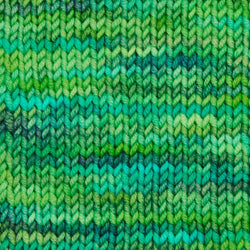 Symfonie Hand Dyed Yarns Yarn Jungle Secrets Symfonie Hand-Dyed Yarns | Viva Variegated | DK