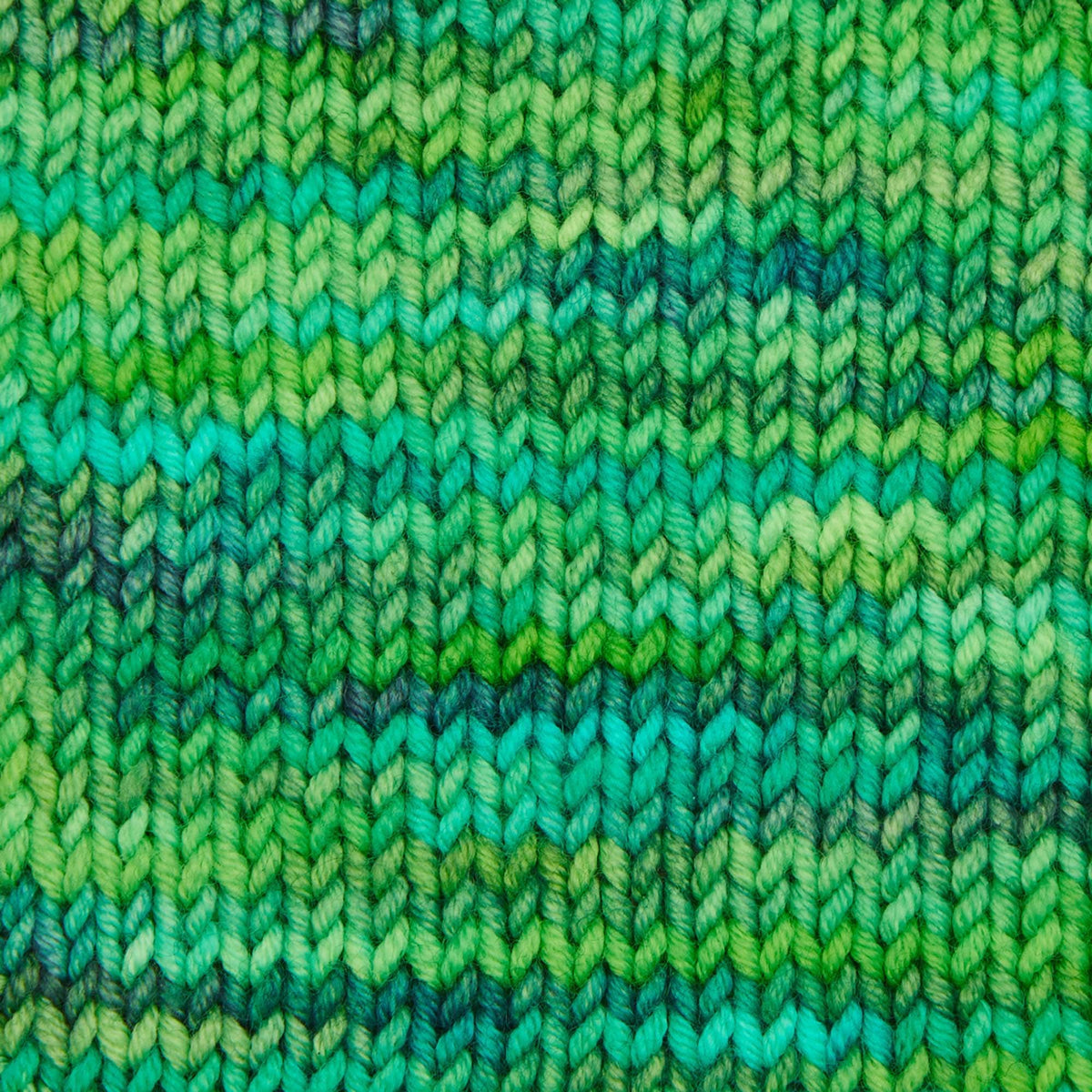 Symfonie Hand Dyed Yarns Yarn Jungle Secrets Symfonie Hand-Dyed Yarns | Viva Variegated | DK