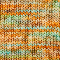Symfonie Hand Dyed Yarns Yarn Lagoon Dream Symfonie Hand-Dyed Yarns | Viva Variegated | DK