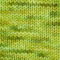 Symfonie Hand Dyed Yarns Yarn Macha Symfonie Hand-Dyed Yarns | Bella Variegated | Worsted / Aran