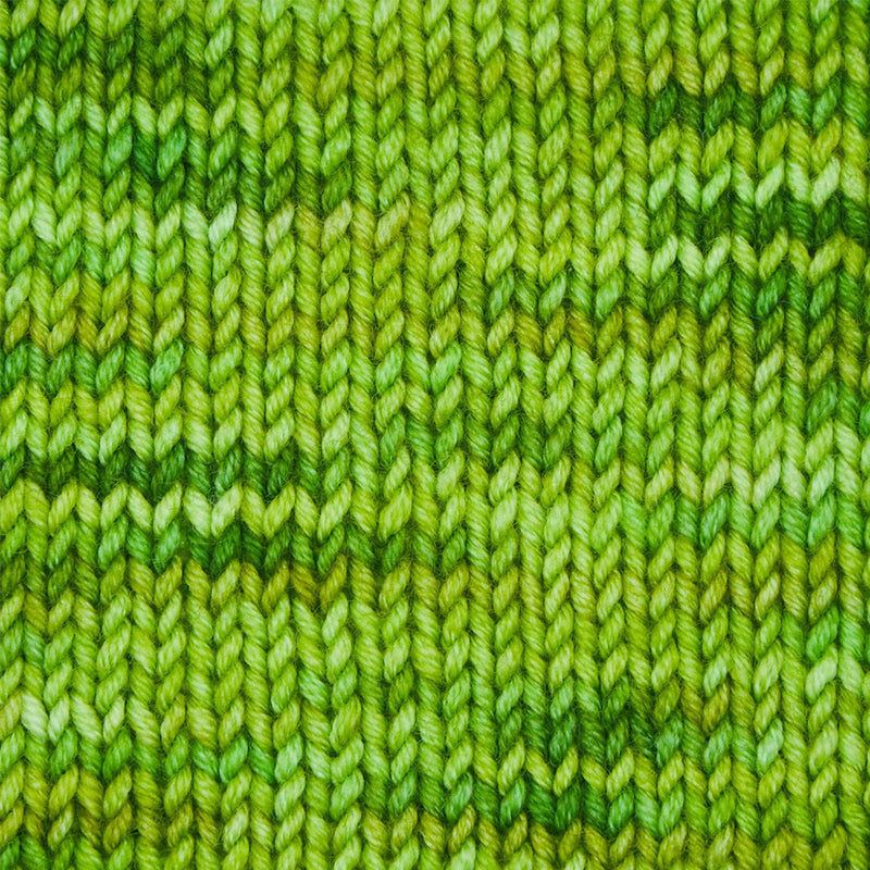 Symfonie Hand Dyed Yarns Yarn Macha Symfonie Hand-Dyed Yarns | Viva Variegated | DK