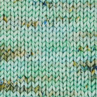 Symfonie Hand Dyed Yarns Yarn Mint Sky Symfonie Hand-Dyed Yarns | Bella Variegated | Worsted / Aran