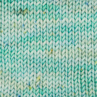Symfonie Hand Dyed Yarns Yarn Mint Sky Symfonie Hand-Dyed Yarns | Viva Variegated | DK