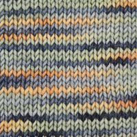 Symfonie Hand Dyed Yarns Yarn Newyork Newyork Symfonie Hand-Dyed Yarns | Viva Variegated | DK