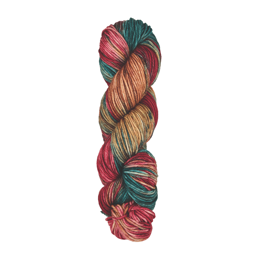 Symfonie Hand Dyed Yarns Yarn Old Delhi Symfonie Hand-Dyed Yarns | Bella Variegated 5 Pack | Worsted / Aran