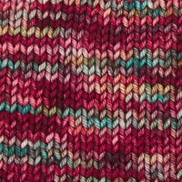 Symfonie Hand Dyed Yarns Yarn Old Delhi Symfonie Hand-Dyed Yarns | Bella Variegated | Worsted / Aran