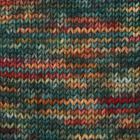 Symfonie Hand Dyed Yarns Yarn Old Delhi Symfonie Hand-Dyed Yarns | Terra Variegated | 4-Ply