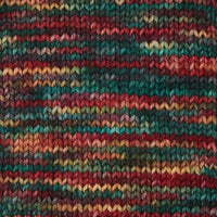 Symfonie Hand Dyed Yarns Yarn Party Lights Symfonie Hand-Dyed Yarns | Terra Variegated | 4-Ply