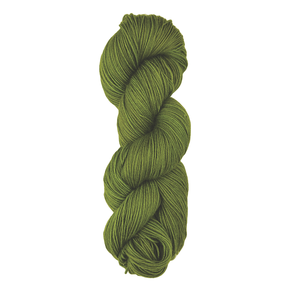 Symfonie Hand Dyed Yarns Yarn Rain Forest Symfonie Hand-Dyed Yarns | Terra | 75% Extrafine Merino 25% Polyamide | Semi-Solid Colour | 4-Ply