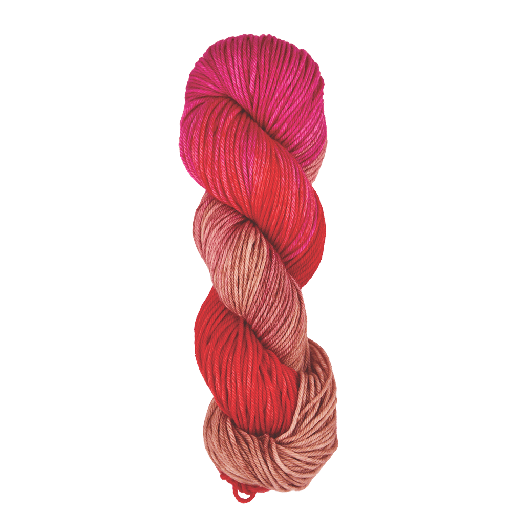 Symfonie Hand Dyed Yarns Yarn Rhubarb Symfonie Hand-Dyed Yarns | Bella Variegated 5 Pack | Worsted / Aran