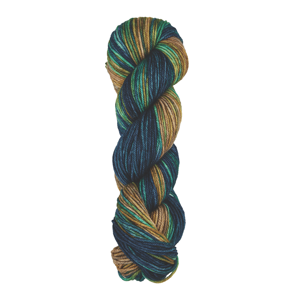 Symfonie Hand Dyed Yarns Yarn Riverbank Symfonie Hand-Dyed Yarns | Bella Variegated 5 Pack | Worsted / Aran