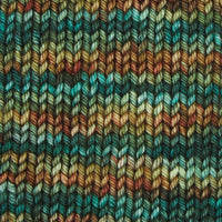 Symfonie Hand Dyed Yarns Yarn Riverbank Symfonie Hand-Dyed Yarns | Bella Variegated | Worsted / Aran