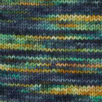 Symfonie Hand Dyed Yarns Yarn Riverbank Symfonie Hand-Dyed Yarns | Terra Variegated | 4-Ply