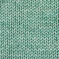 Symfonie Hand Dyed Yarns Yarn Sage Symfonie Hand-Dyed Yarns | Bella Semi Solid | Worsted / Aran