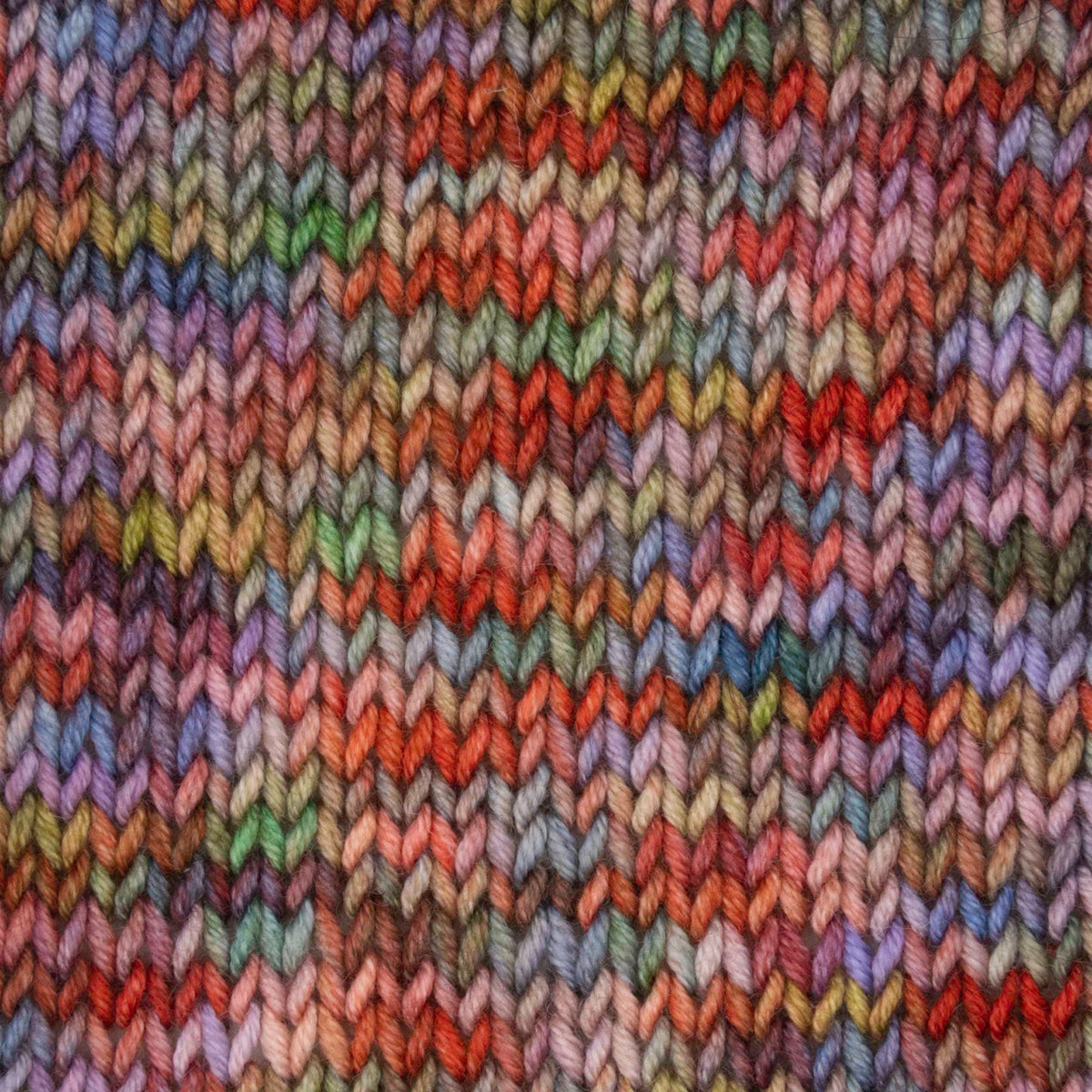 Symfonie Hand Dyed Yarns Yarn Spellbound Symfonie Hand-Dyed Yarns | Viva Variegated | DK