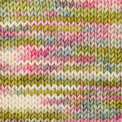 Symfonie Hand Dyed Yarns Yarn Summer Romance Symfonie Hand-Dyed Yarns | Viva Variegated | DK