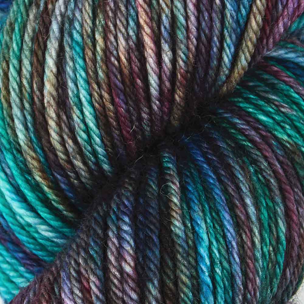 Symfonie Hand Dyed Yarns Yarn Symfonie Hand-Dyed Yarns | Bella Variegated | Worsted / Aran