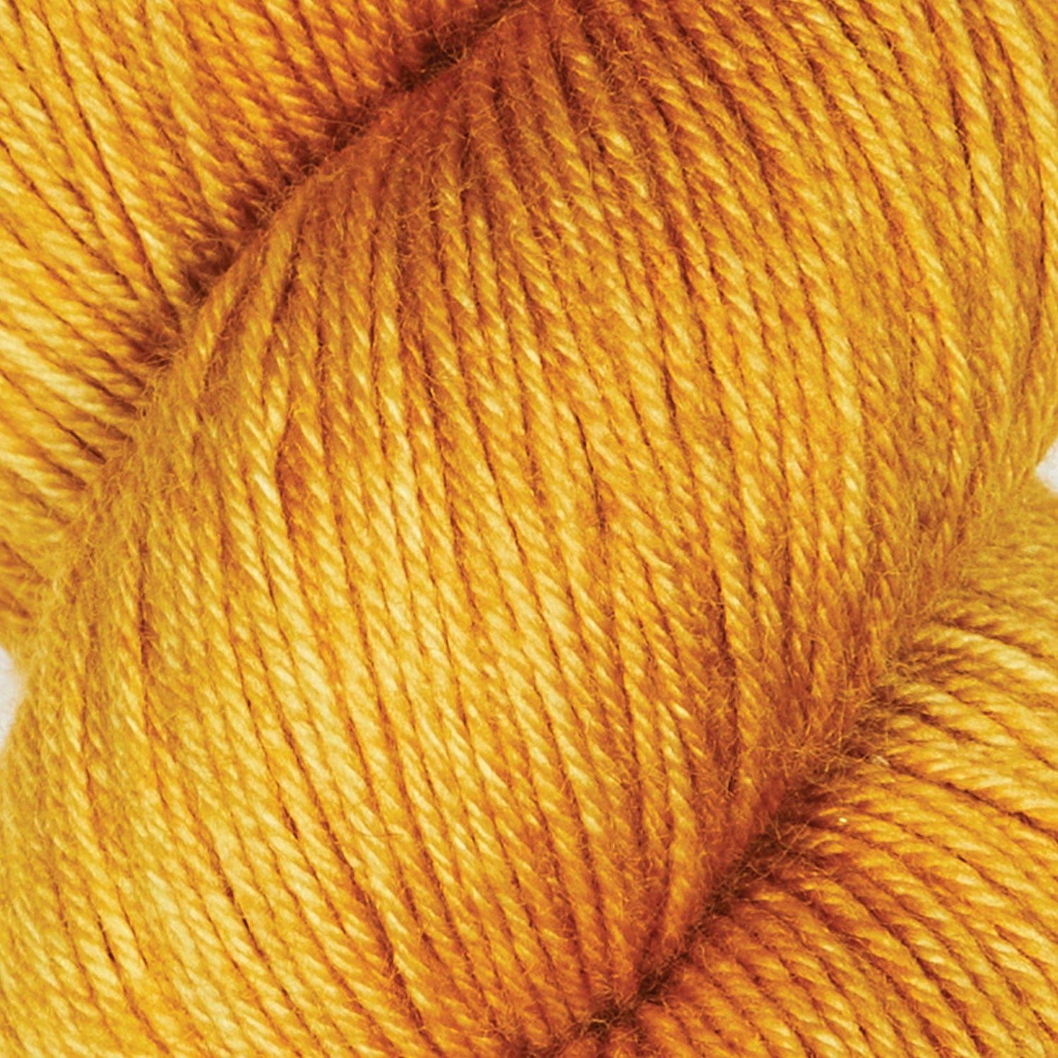 Symfonie Hand Dyed Yarns Yarn Turmeric Symfonie Hand-Dyed Yarns | Terra | 75% Extrafine Merino 25% Polyamide | Semi-Solid Colour | 4-Ply