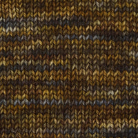 Symfonie Hand Dyed Yarns Yarn Wilderness Symfonie Hand-Dyed Yarns | Terra Variegated | 4-Ply