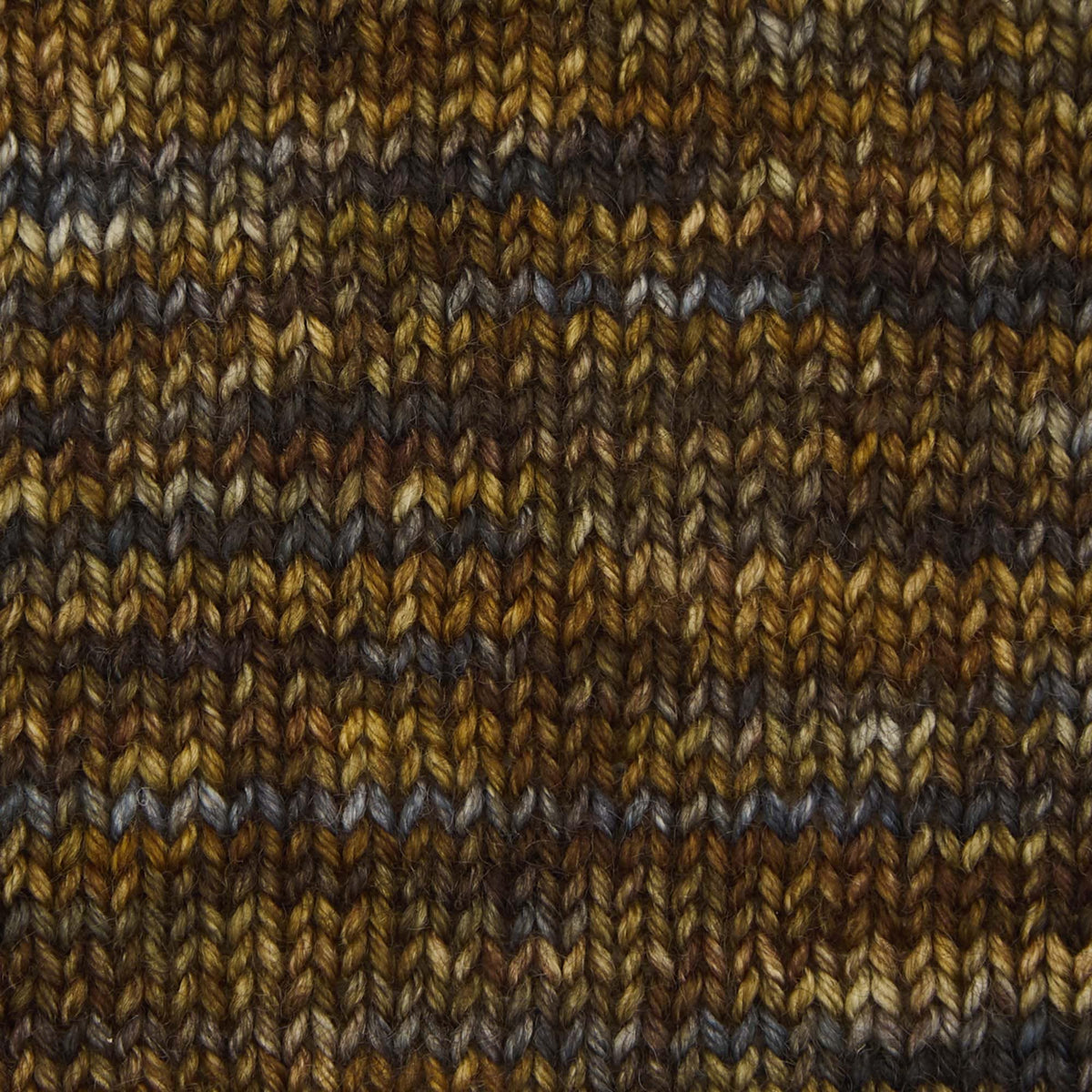 Symfonie Hand Dyed Yarns Yarn Wilderness Symfonie Hand-Dyed Yarns | Terra Variegated | 4-Ply