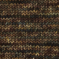 Symfonie Hand Dyed Yarns Yarn Wilderness Symfonie Hand-Dyed Yarns | Viva Variegated | DK