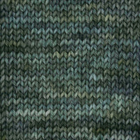 Symfonie Hand Dyed Yarns Yarn Willow Symfonie Hand-Dyed Yarns | Terra Variegated | 4-Ply