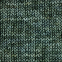 Symfonie Hand Dyed Yarns Yarn Willow Symfonie Hand-Dyed Yarns | Viva Variegated | DK