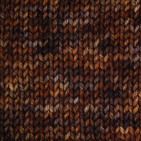 Symfonie Hand Dyed Yarns Yarn Woodland Symfonie Hand-Dyed Yarns | Bella Variegated | Worsted / Aran