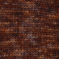 Symfonie Hand Dyed Yarns Yarn Woodland Symfonie Hand-Dyed Yarns | Terra Variegated | 4-Ply