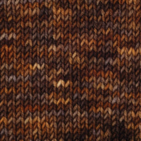 Symfonie Hand Dyed Yarns Yarn Woodland Symfonie Hand-Dyed Yarns | Viva Variegated | DK
